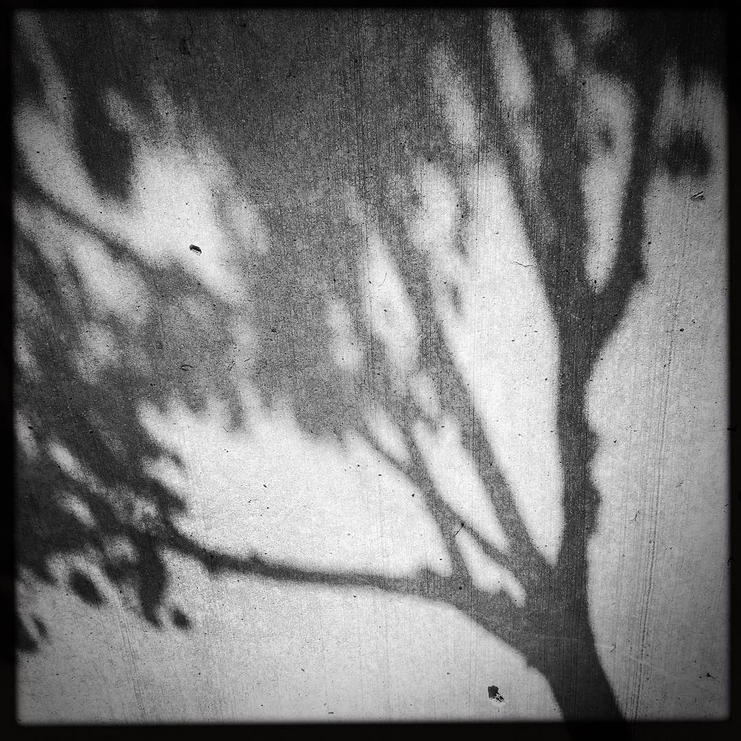Concrete Shadows