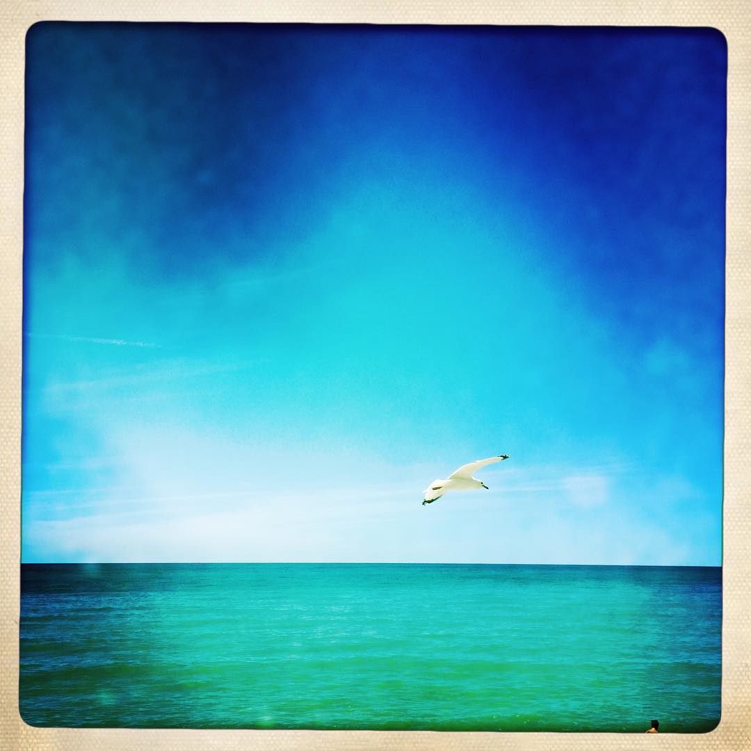 #dunes #beverlyshores