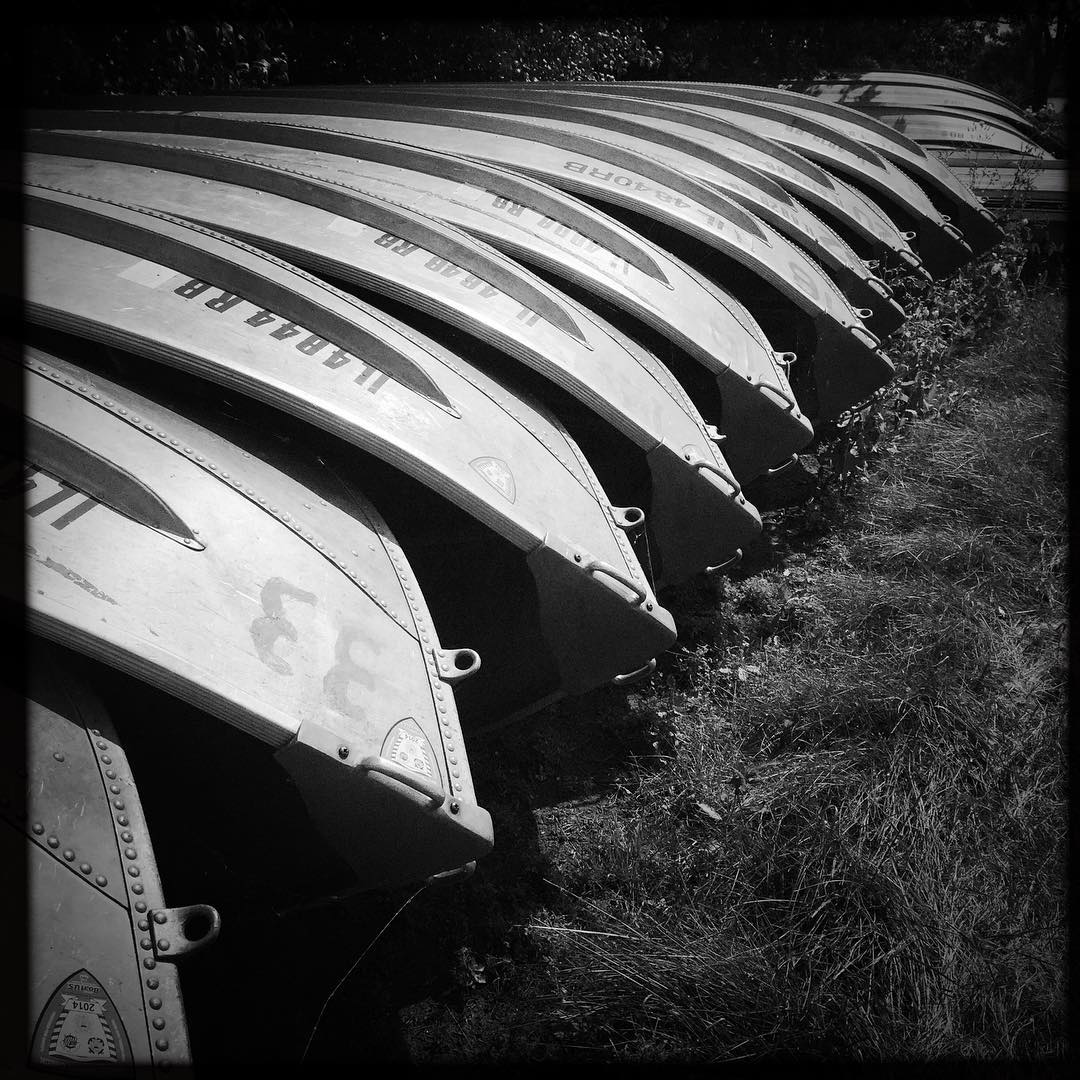 Need a boat?