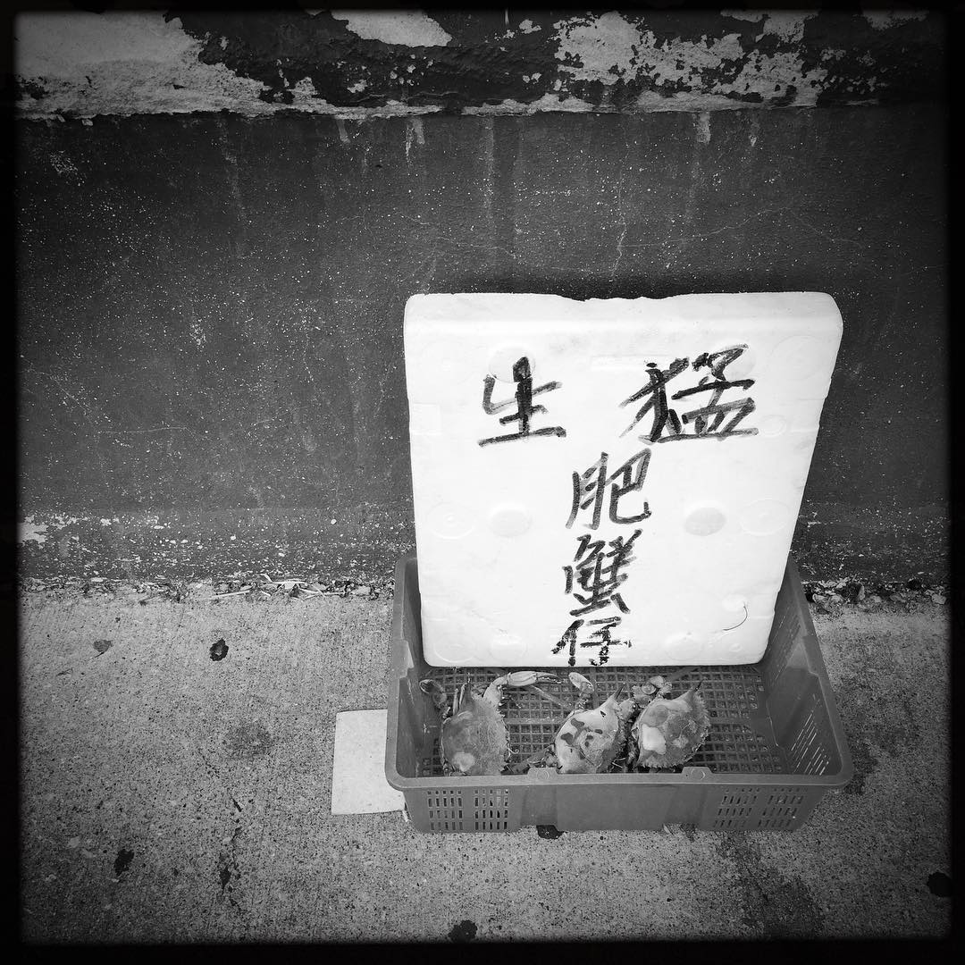 Run!  Be free!