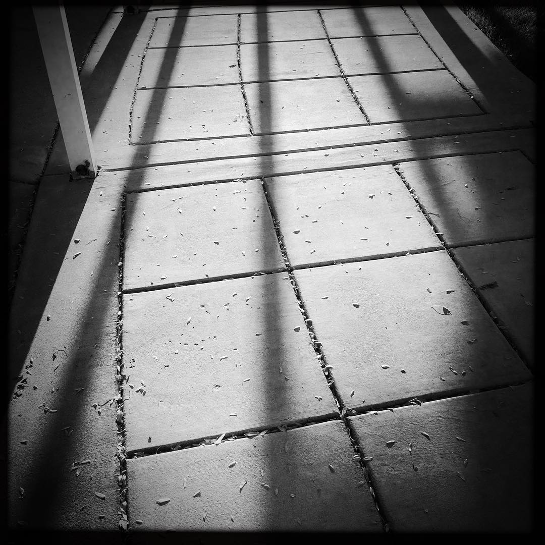 Love fall light.
