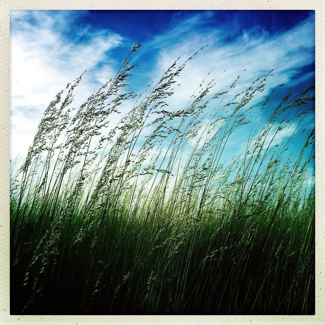 Windy day.