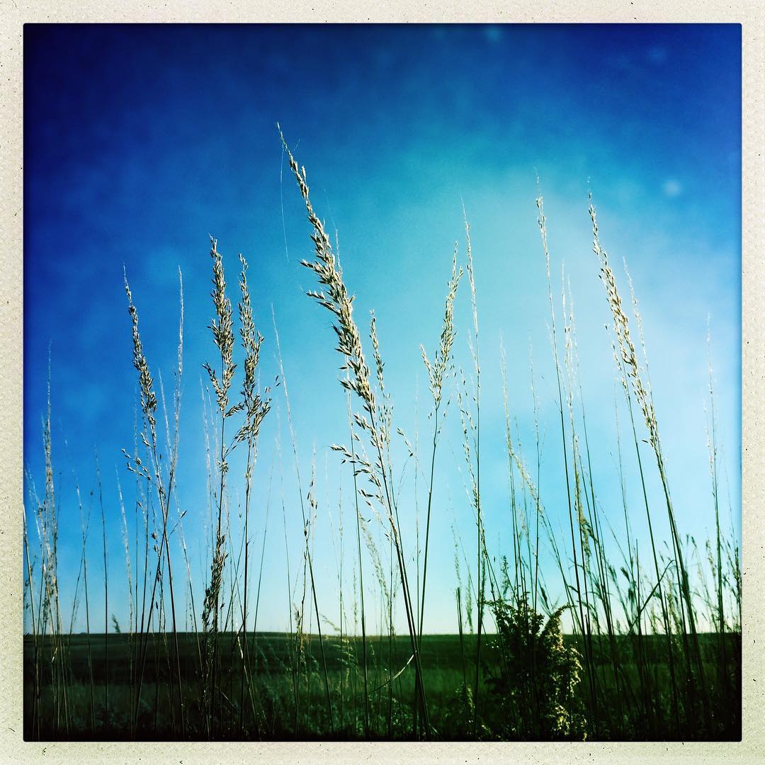 Grass Lands