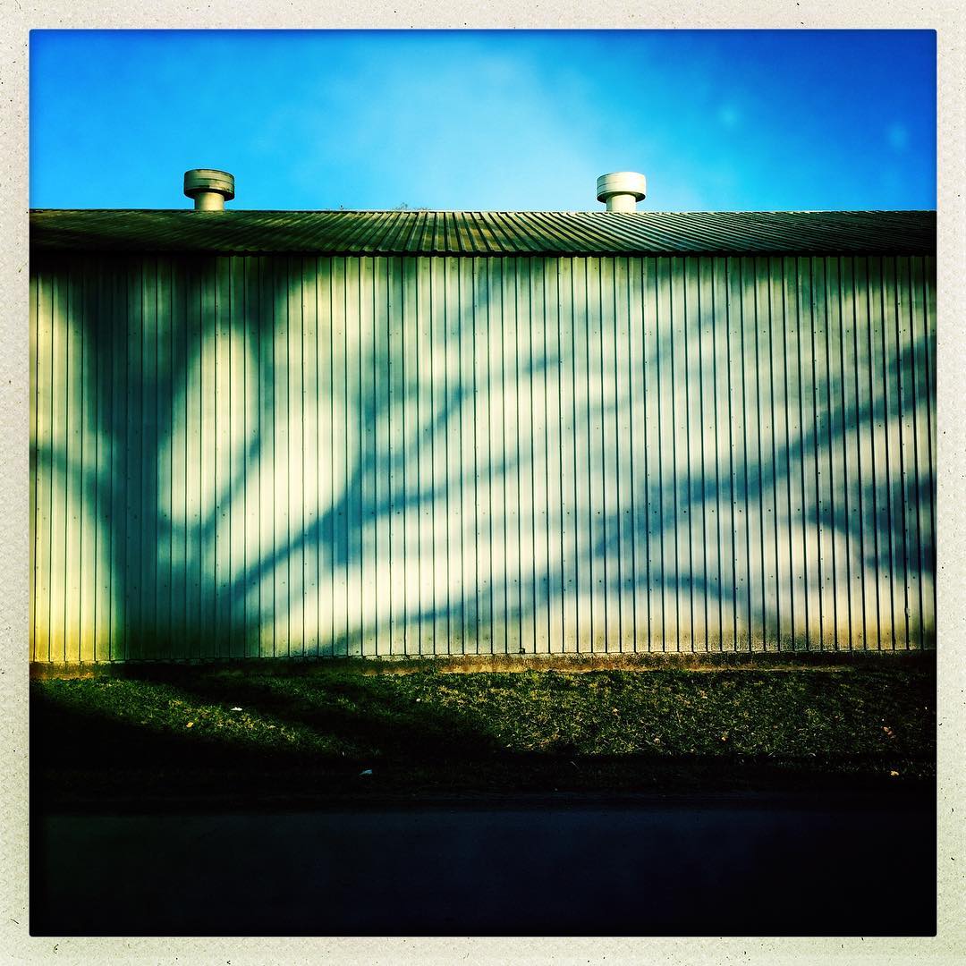 #rural #farmlife