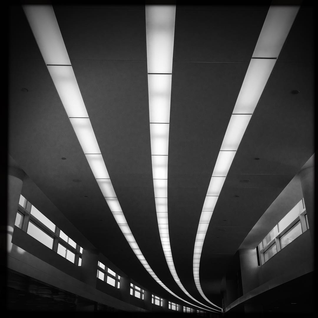 Flight Lines
