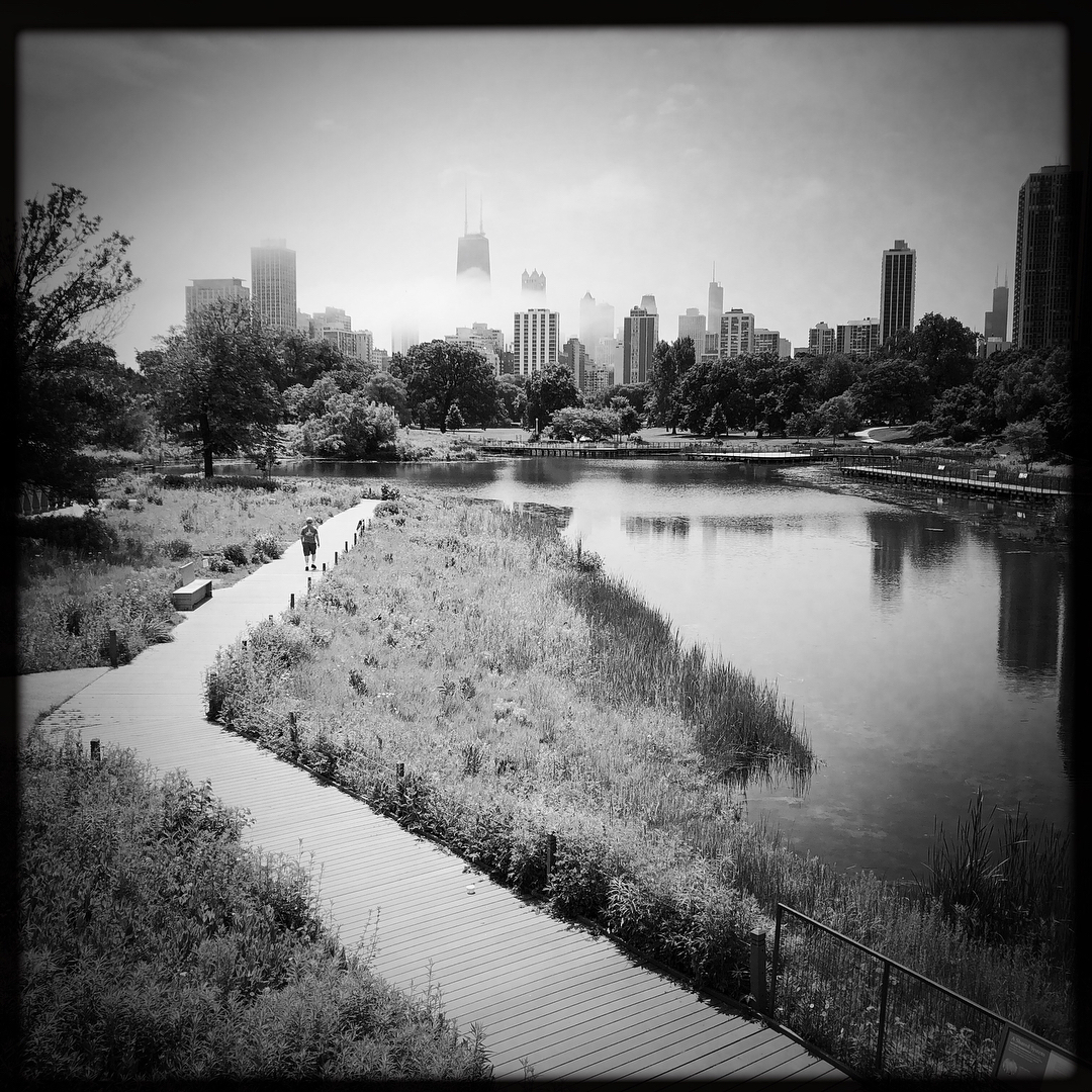 Elise and I out at the zoo for our creative team meeting.  What a great day.