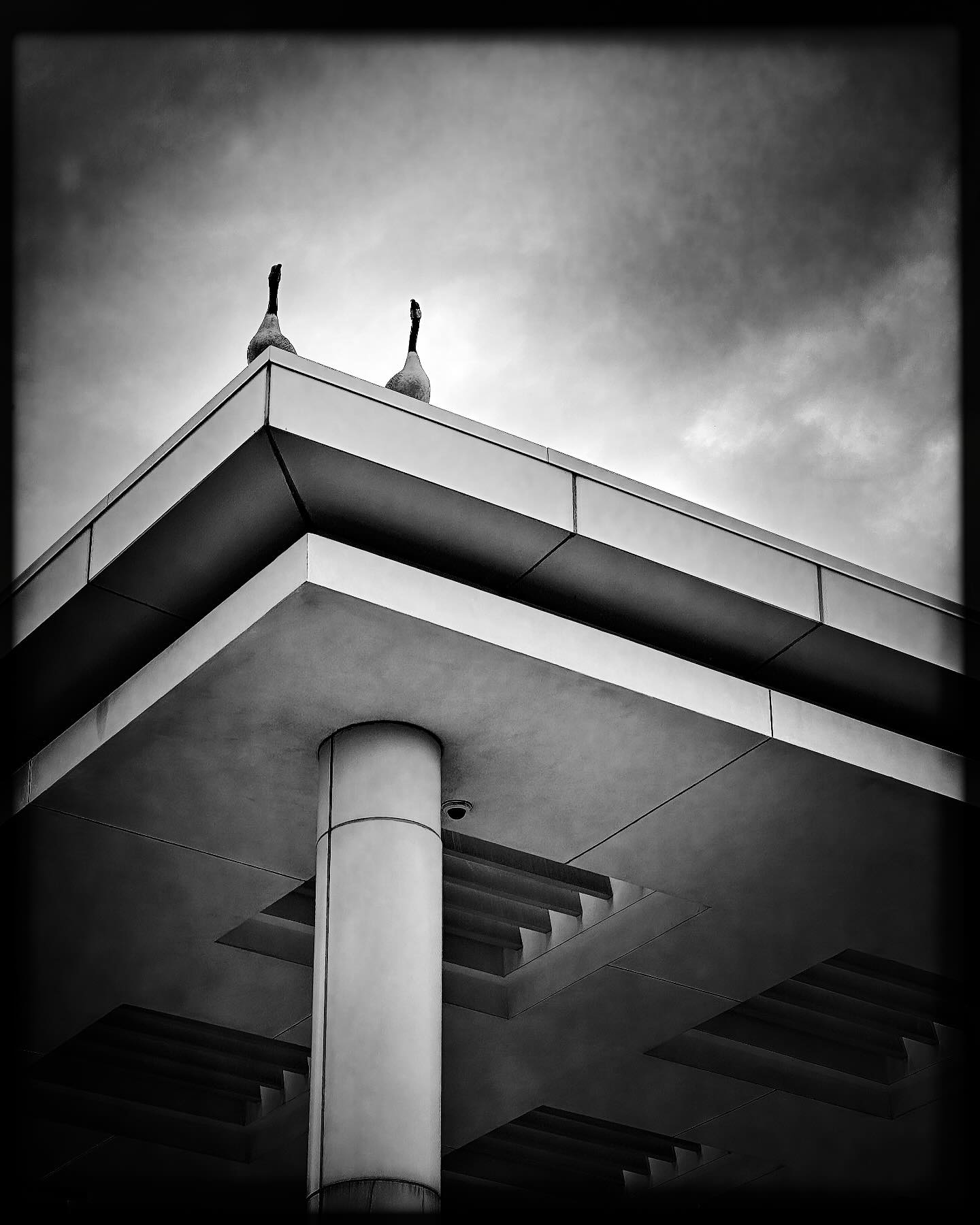 Guardians of the library.