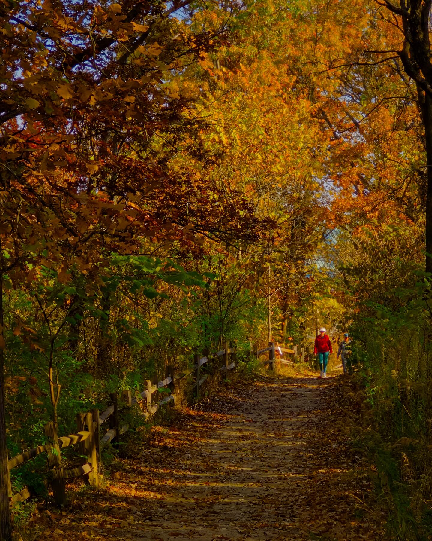 Little Red School House in Fall